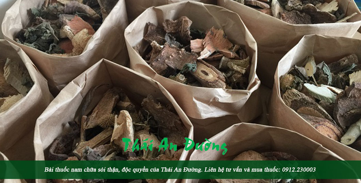 Thuốc nam chữa sỏi thận